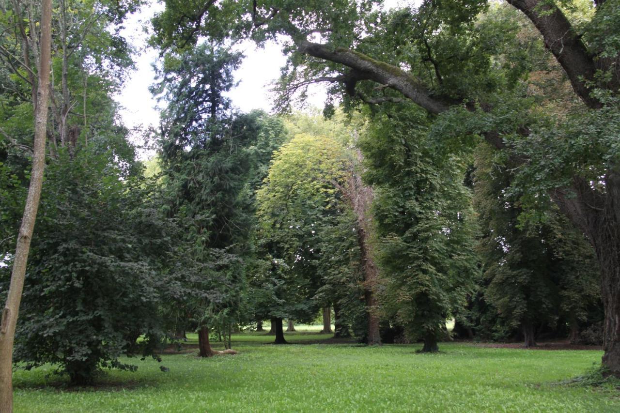Chateau Le Mas De Montet Petit-Bersac Zewnętrze zdjęcie